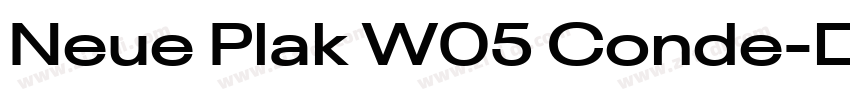 Neue Plak W05 Conde字体转换